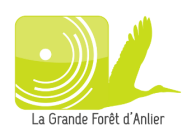 Grande forêt d’Anlier